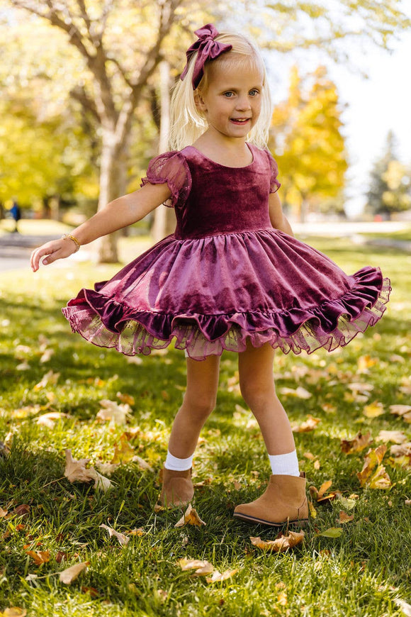 Eleanor Dress in Plum Velvet