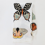 Butterfly Collector Swaddle